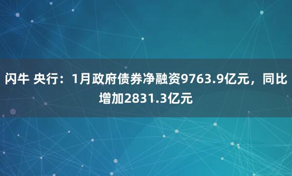 闪牛 央行：1月政府债券净融资9763.9亿元，同比增加2831.3亿元