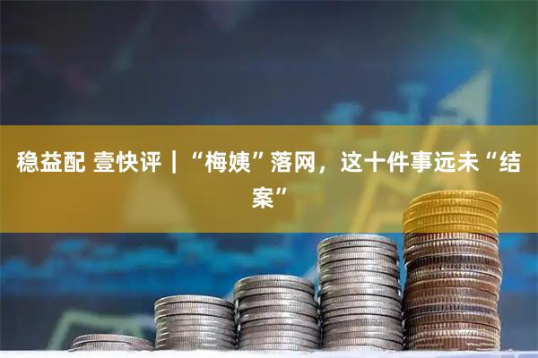 稳益配 壹快评｜“梅姨”落网，这十件事远未“结案”