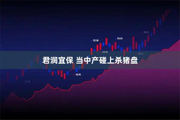 君润宜保 当中产碰上杀猪盘