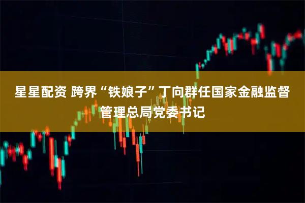 星星配资 跨界“铁娘子”丁向群任国家金融监督管理总局党委书记