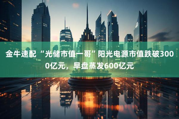 金牛速配 “光储市值一哥”阳光电源市值跌破3000亿元，早盘蒸发600亿元
