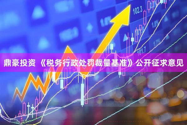 鼎豪投资 《税务行政处罚裁量基准》公开征求意见