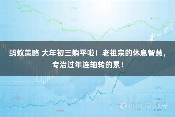 蚂蚁策略 大年初三躺平啦！老祖宗的休息智慧，专治过年连轴转的累！
