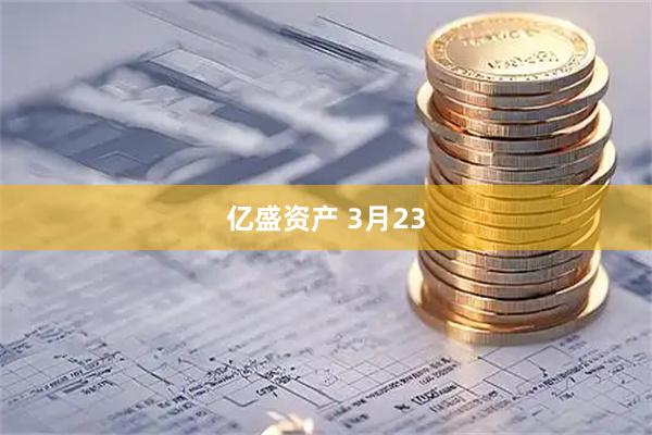 亿盛资产 3月23