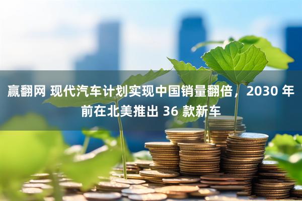 赢翻网 现代汽车计划实现中国销量翻倍，2030 年前在北美推出 36 款新车
