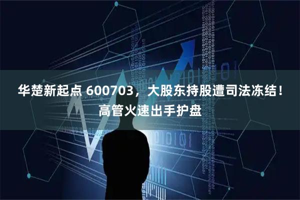 华楚新起点 600703，大股东持股遭司法冻结！高管火速出手护盘