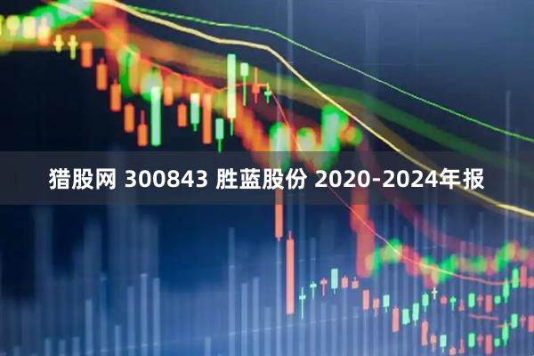 猎股网 300843 胜蓝股份 2020-2024年报