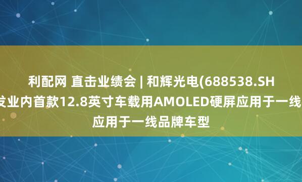 利配网 直击业绩会 | 和辉光电(688538.SH)：已开发业内首款12.8英寸车载用AMOLED硬屏应用于一线品牌车型