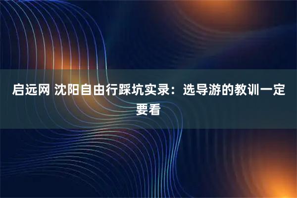 启远网 沈阳自由行踩坑实录：选导游的教训一定要看