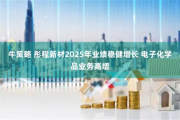 牛策略 彤程新材2025年业绩稳健增长 电子化学品业务高增