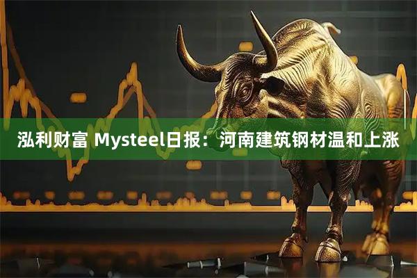 泓利财富 Mysteel日报：河南建筑钢材温和上涨