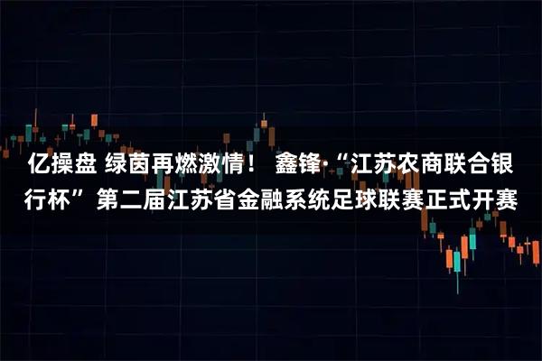 亿操盘 绿茵再燃激情！ 鑫锋·“江苏农商联合银行杯” 第二届江苏省金融系统足球联赛正式开赛