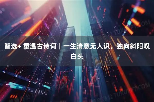 智选+ 重温古诗词｜一生清意无人识，独向斜阳叹白头