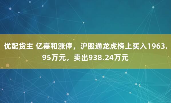 优配货主 亿嘉和涨停，沪股通龙虎榜上买入1963.95万元，卖出938.24万元