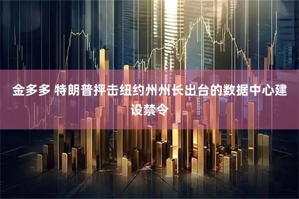 金多多 特朗普抨击纽约州州长出台的数据中心建设禁令